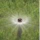 Розбризкувач Rain Bird US-412 (Uni-Spray), висувна частина 10 см, 1/2"ВР + форсунка 12 VAN